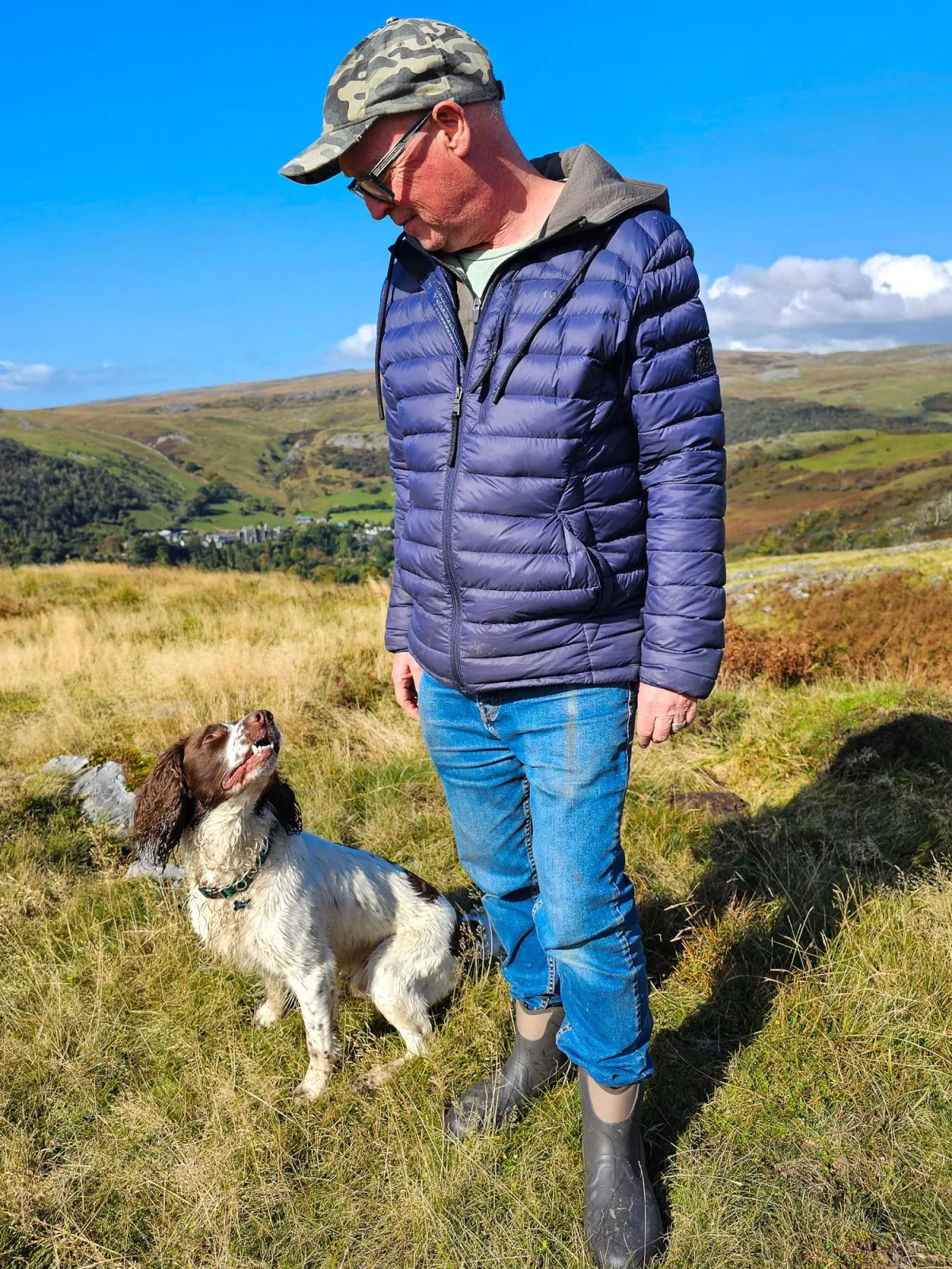 Stroud and Gloucestershire professional dog trainer and dog walking services dog trainer