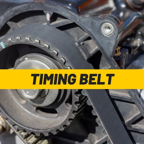 Does My Ford Fiesta Have a Wet Belt? How to Check