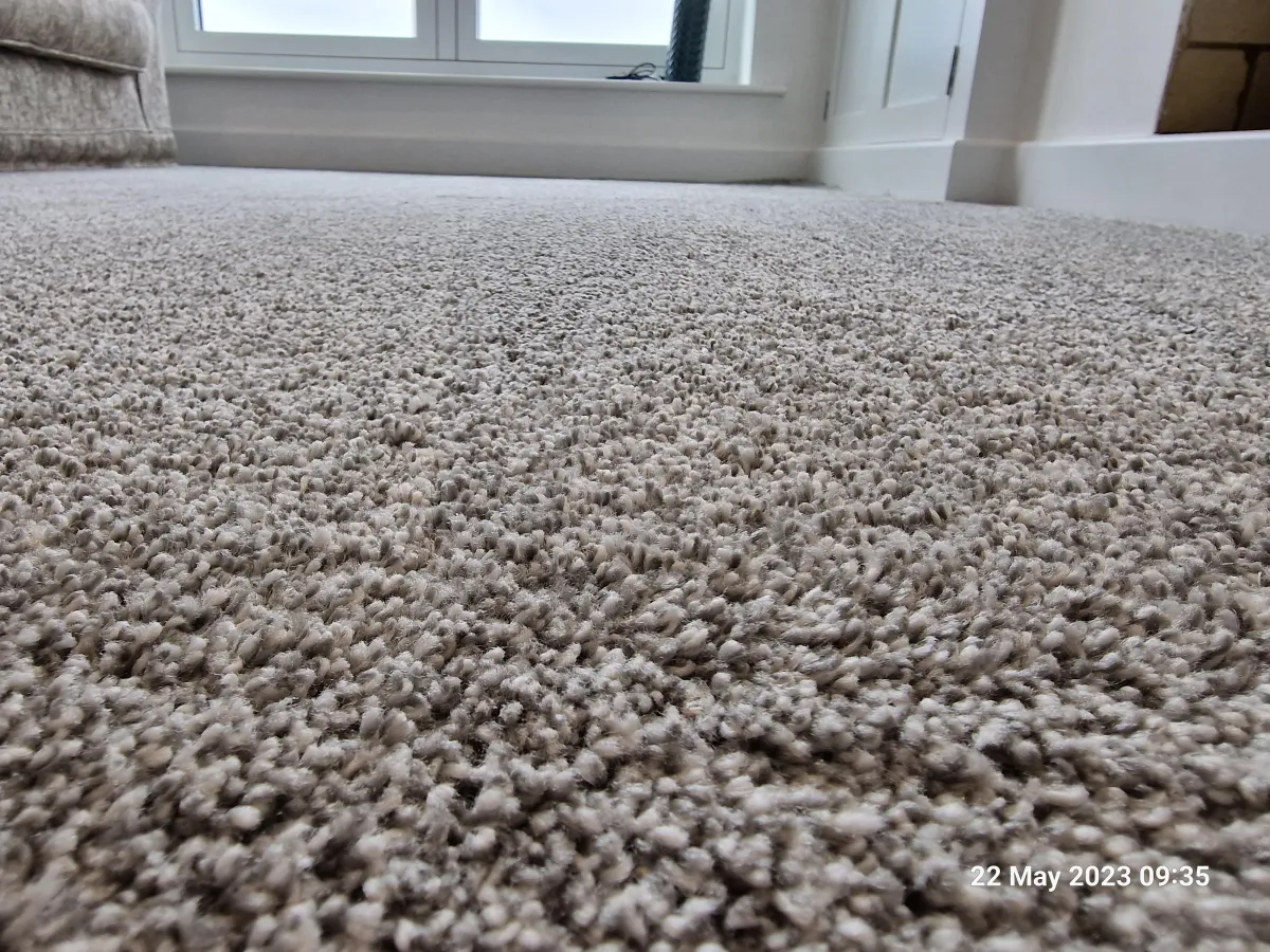Clean, refreshed living room carpet following professional treatment