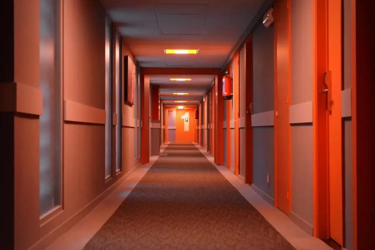 Commercial Carpet Floors Cleaning