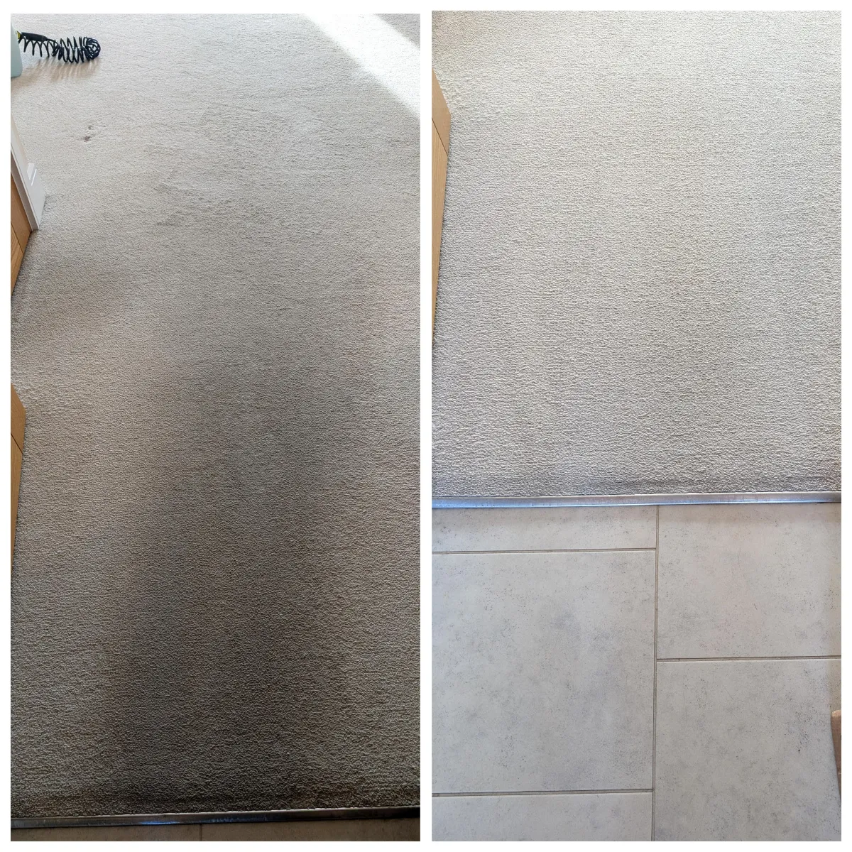 Freshly cleaned carpet after professional deep cleaning