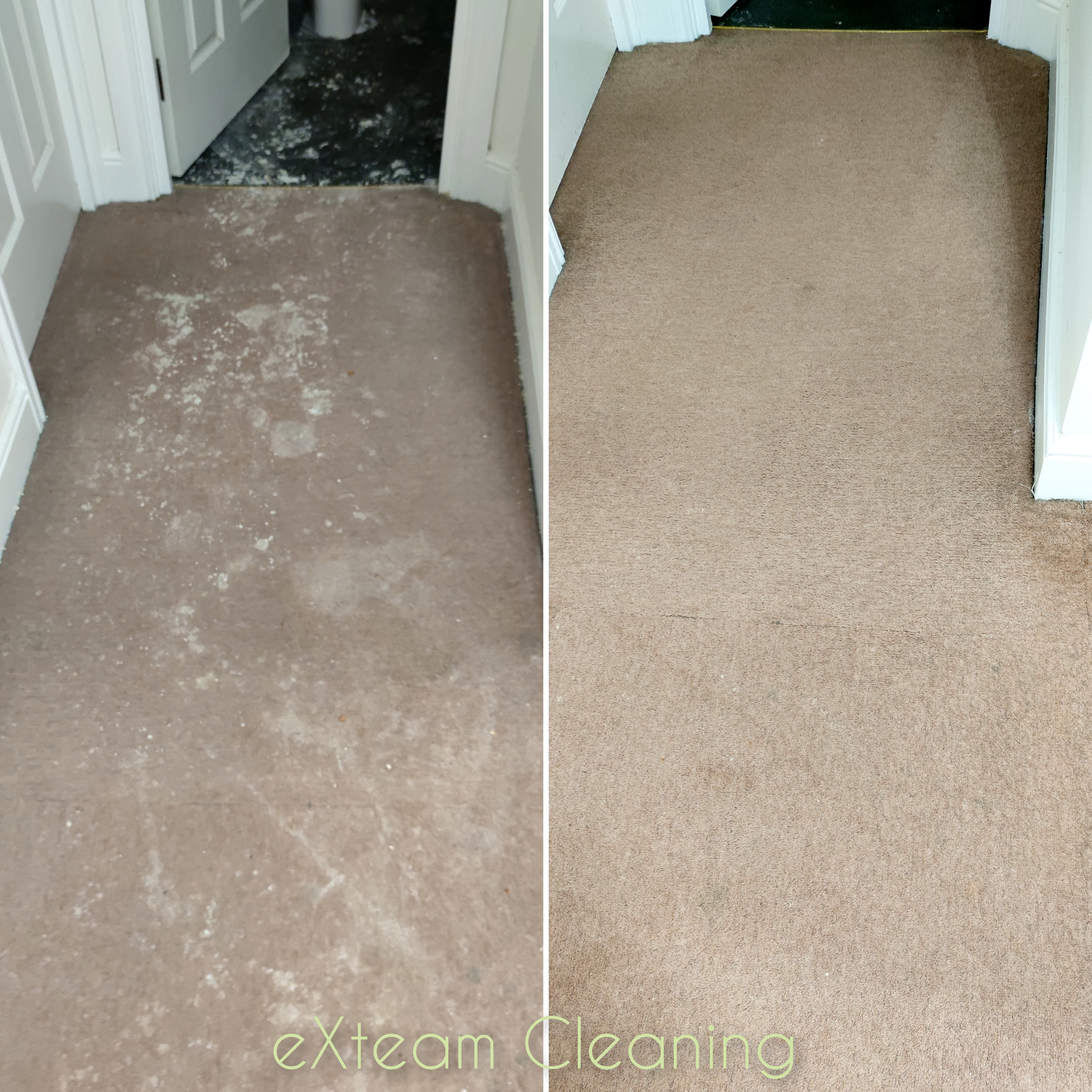 Commercial-grade carpet cleaning equipment used by trained technicians