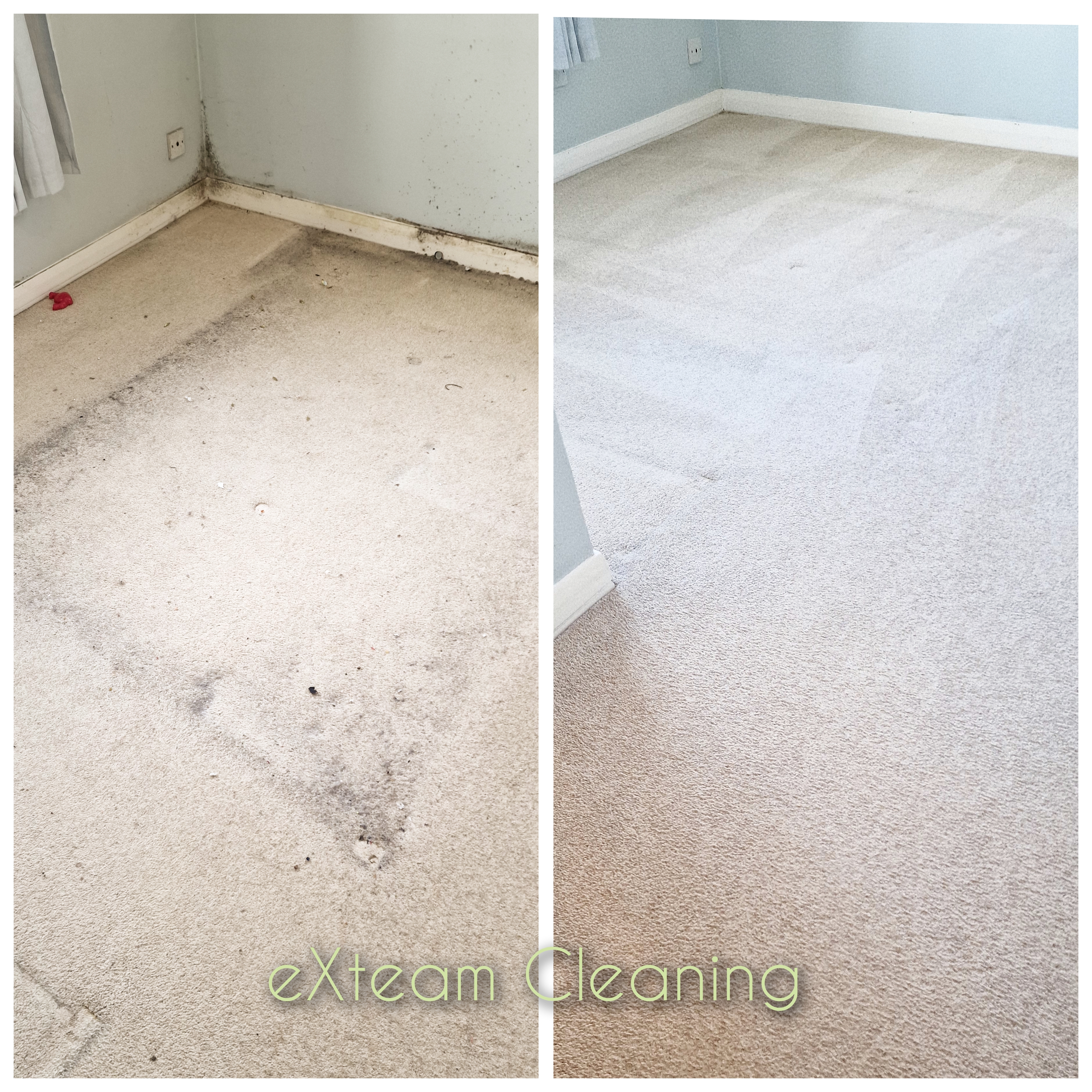 Professional carpet cleaning results in a bright, refreshed living space