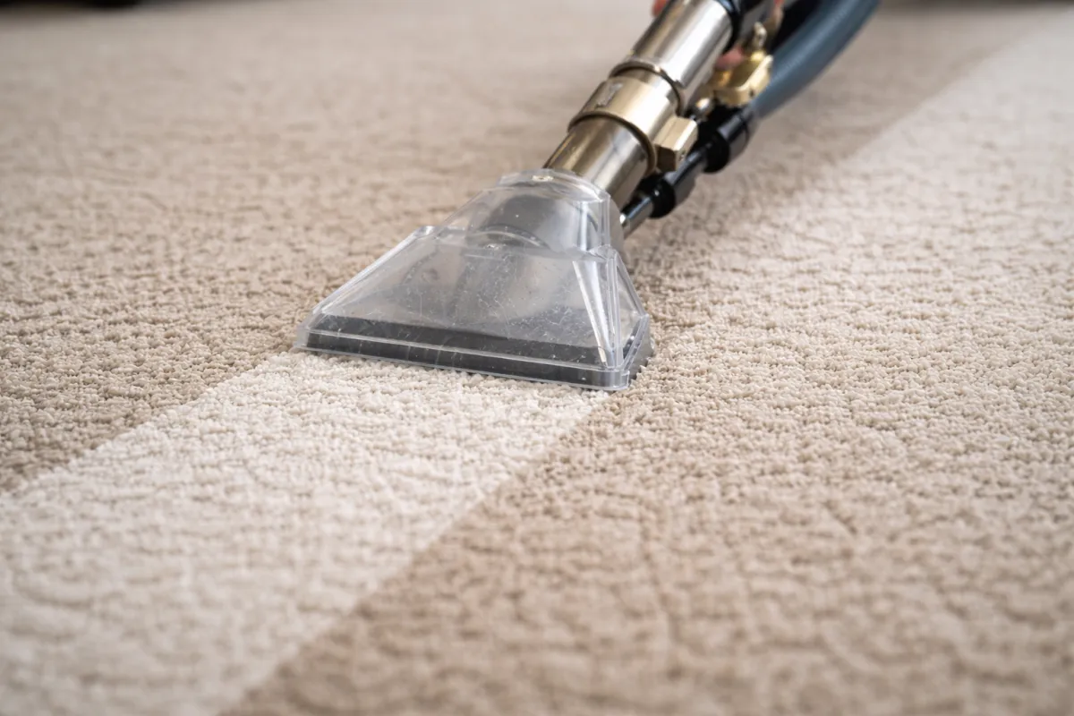 Professional hot water extraction wand showing controlled moisture recovery and even cleaning pass on carpet fibres.