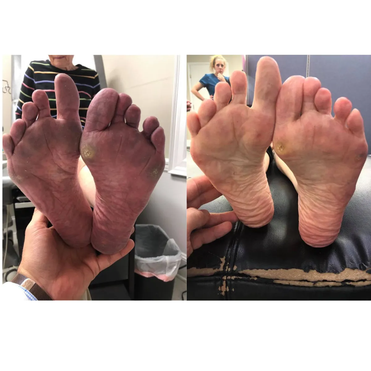 a 3d image of the human body and the structure of the body