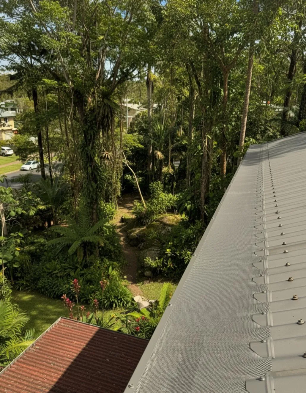 Gutter guards next to trees