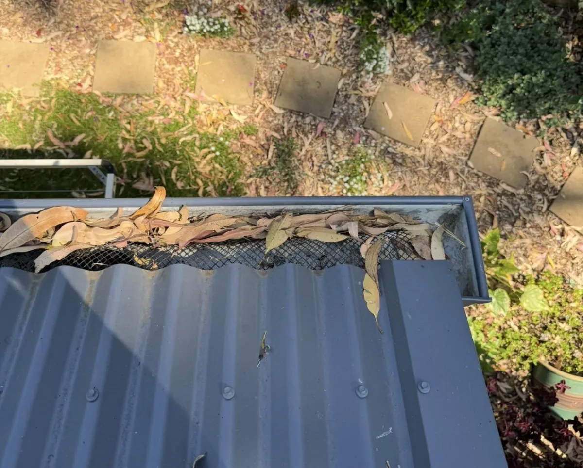 Plastic gutter guard mesh installed on gutter