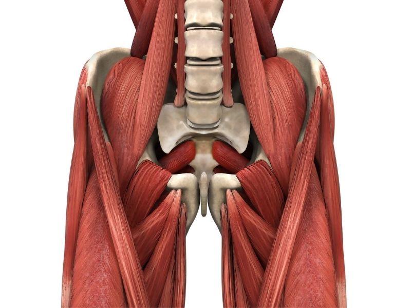 Low Back Pain Relief