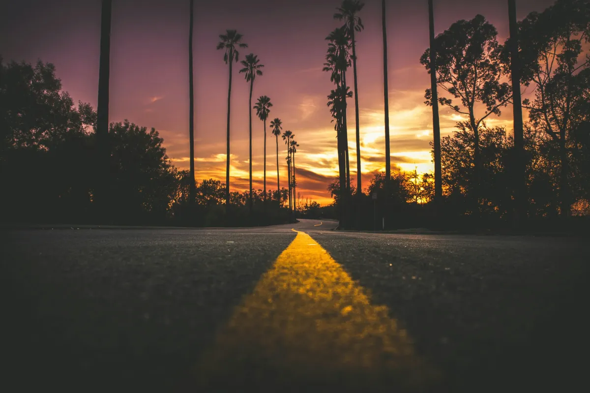 The Roadmap