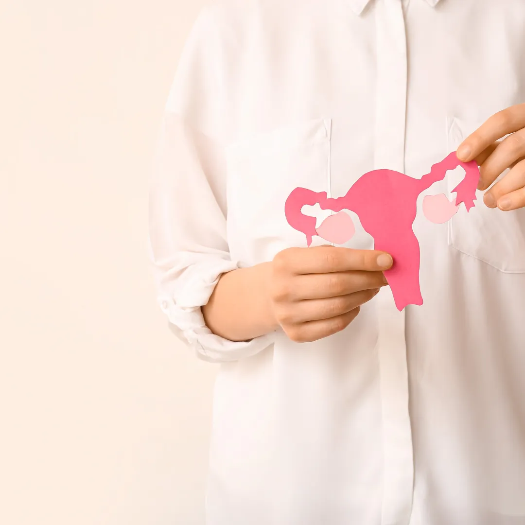 a doctor holding a illustration of a uterus and ovaries