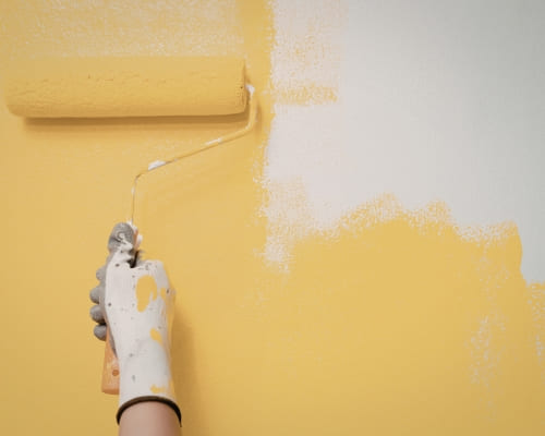 Fence Painting in Carindale