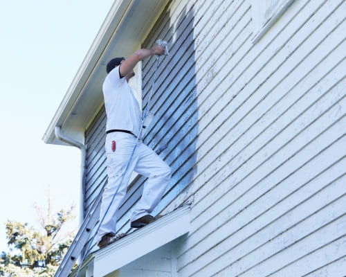 Greenslopes Interior Painting