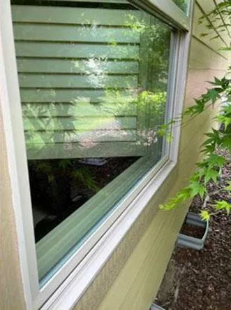 Glass window cleaning services