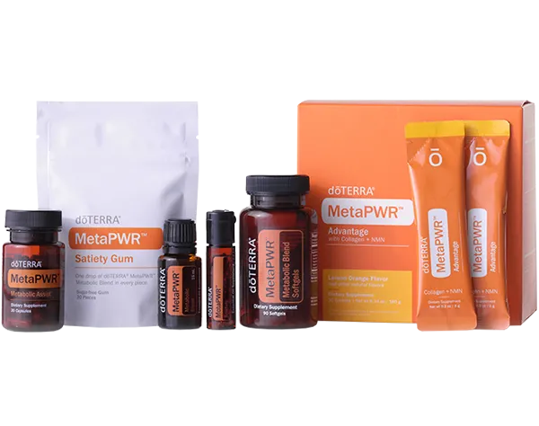 Lead coach, mid-40s, sitting in a bright studio, open notebook, approachable, diverse, 1:1 aspect ratio