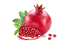 puradrop ingredients-pomegranate