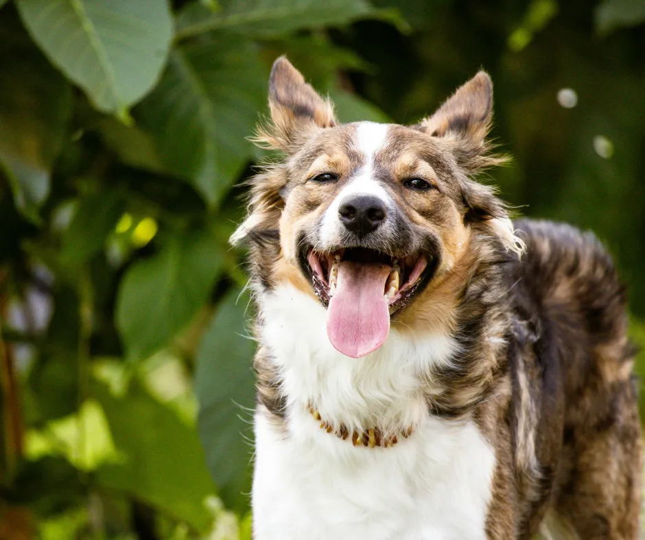 How to Cut Down Waste in Your Grooming Business (Without Increasing Costs)