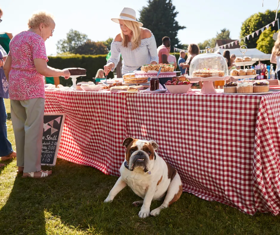 Turn Summer Events into Your BEST Marketing Opportunity Yet