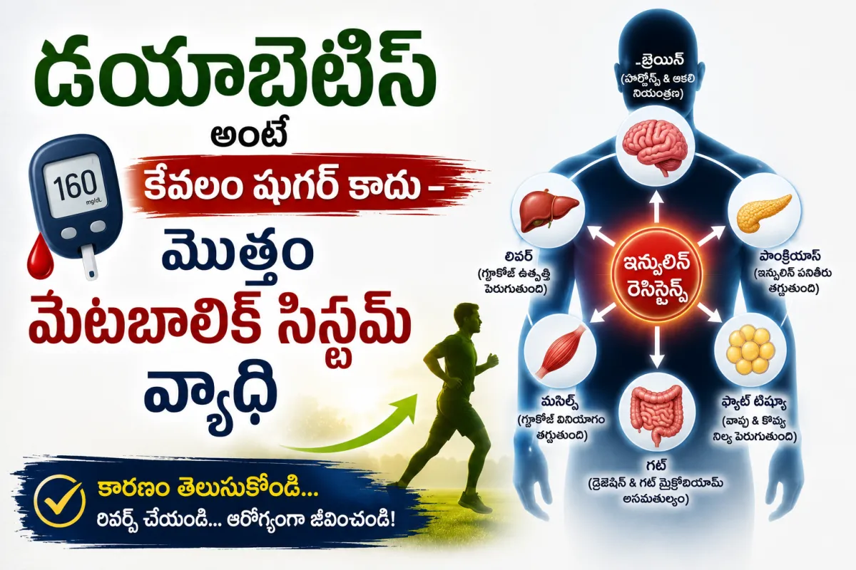 డయాబెటిస్ కేవలం రక్తంలో షుగర్ పెరగడం కాకుండా, ఇన్సులిన్ రెసిస్టెన్స్, లివర్, కండరాలు మరియు కొవ్వు కణాలపై ప్రభావం చూపే మెటబాలిక్ వ్యాధిని వివరించే మెడికల్ ఇన్ఫోగ్రాఫిక్
