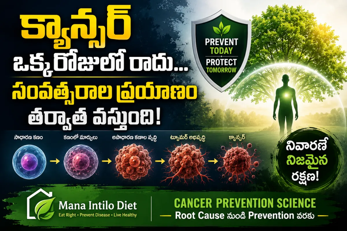 సాధారణ కణం నుంచి DNA మార్పులు, ప్రీ-క్యాన్సర్ దశలు దాటి క్యాన్సర్ ఎలా సంవత్సరాల పాటు అభివృద్ధి చెందుతుందో చూపించే మెడికల్ ఇన్ఫోగ్రాఫిక్