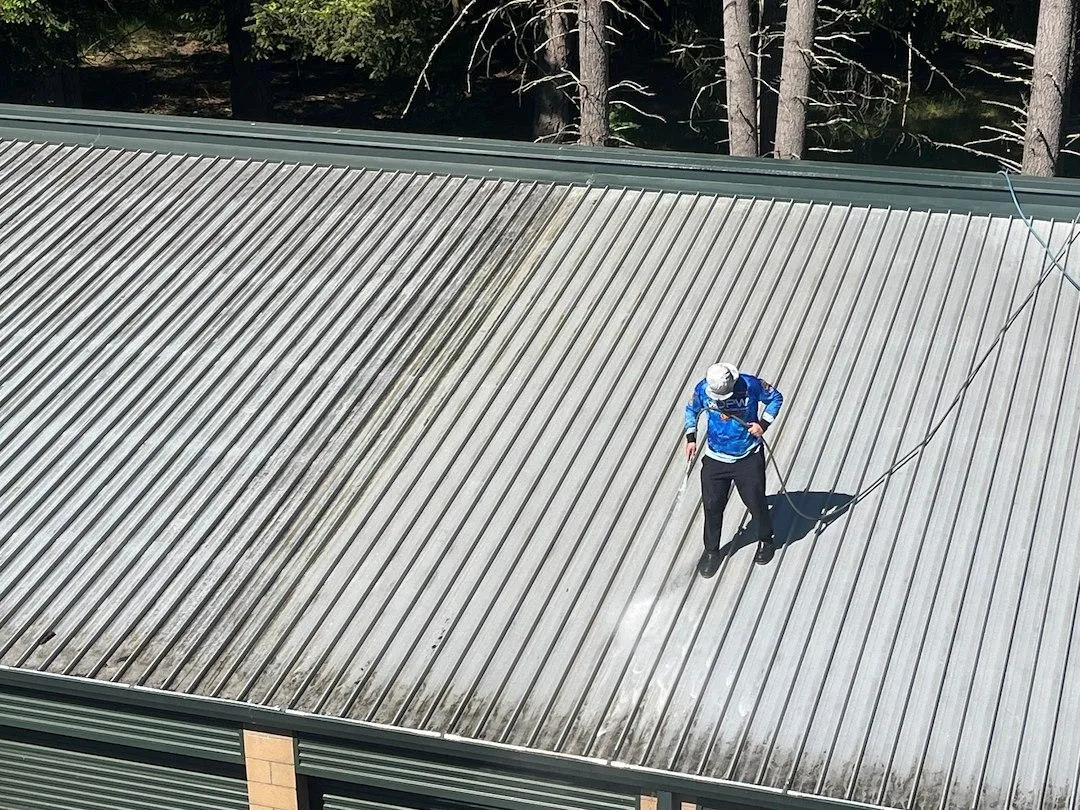 Olympia commercial roof cleaning