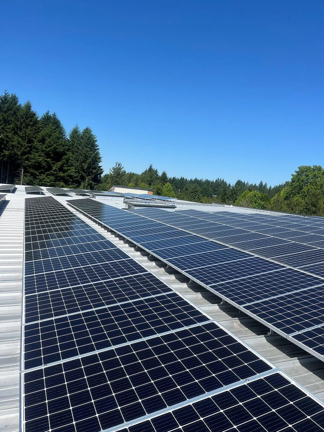 Olympia Residential and Commercial Pressure Washing Services Solar Panel Cleaning