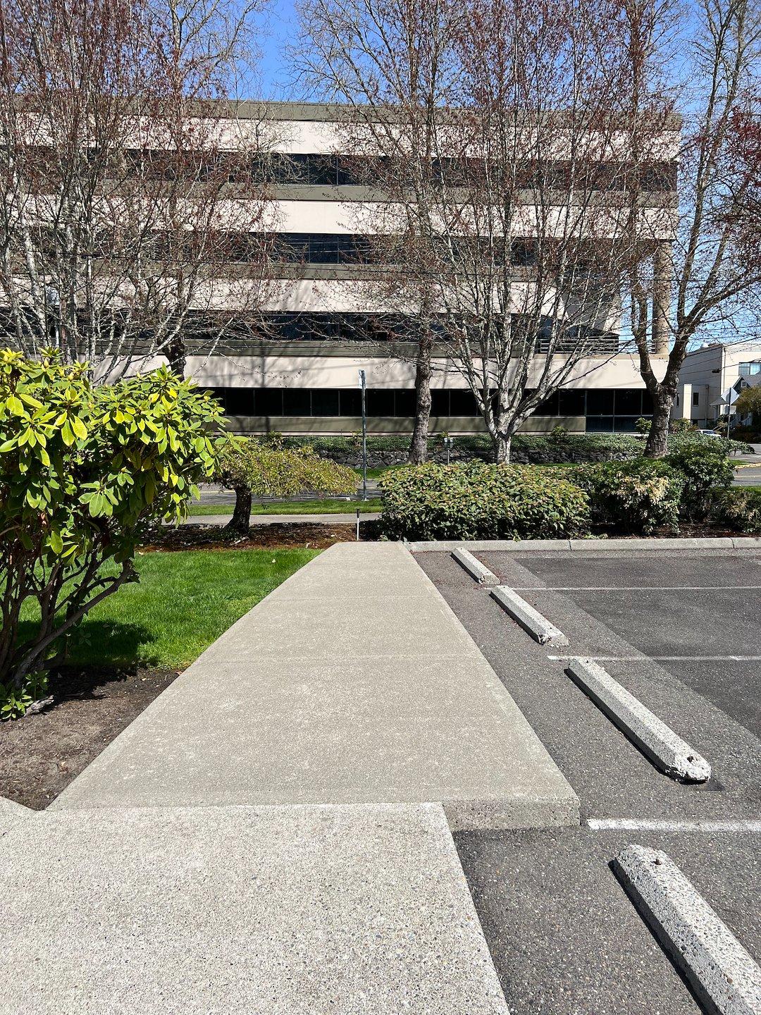 professional Olympia house washing ceda siding