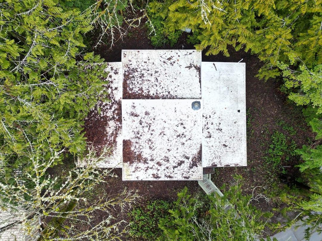 Olympia commercial roof cleaning