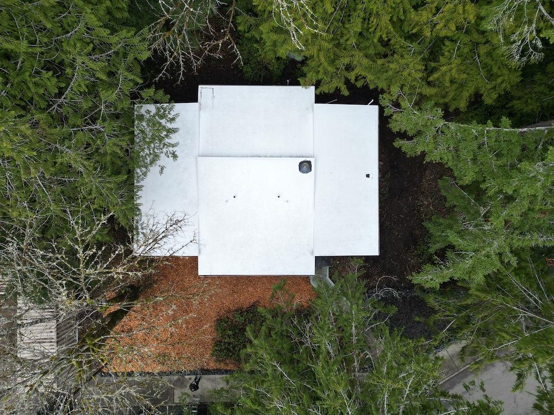 Olympia commercial roof cleaning