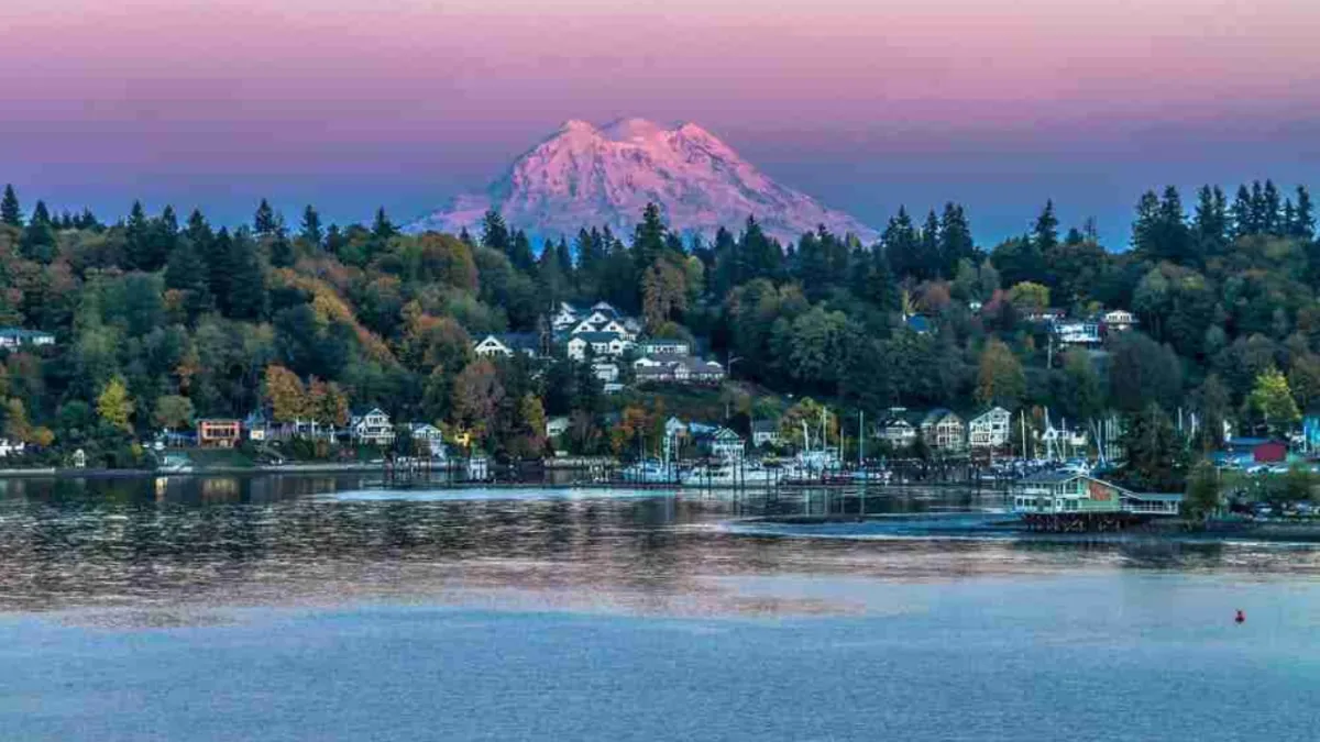Olympia Washington Professional Pressure Washing Services