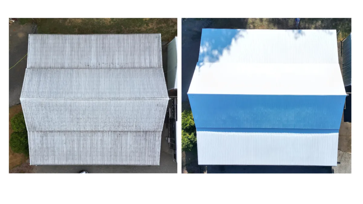 Olympia commercial roof cleaning