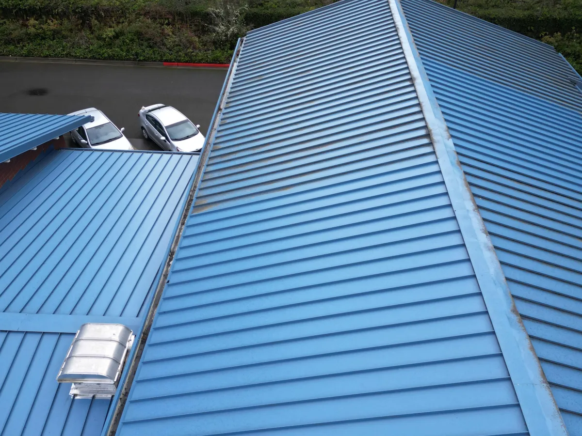 Olympia Residential and Commercial Pressure Washing Services Roof CleaningCleaning
