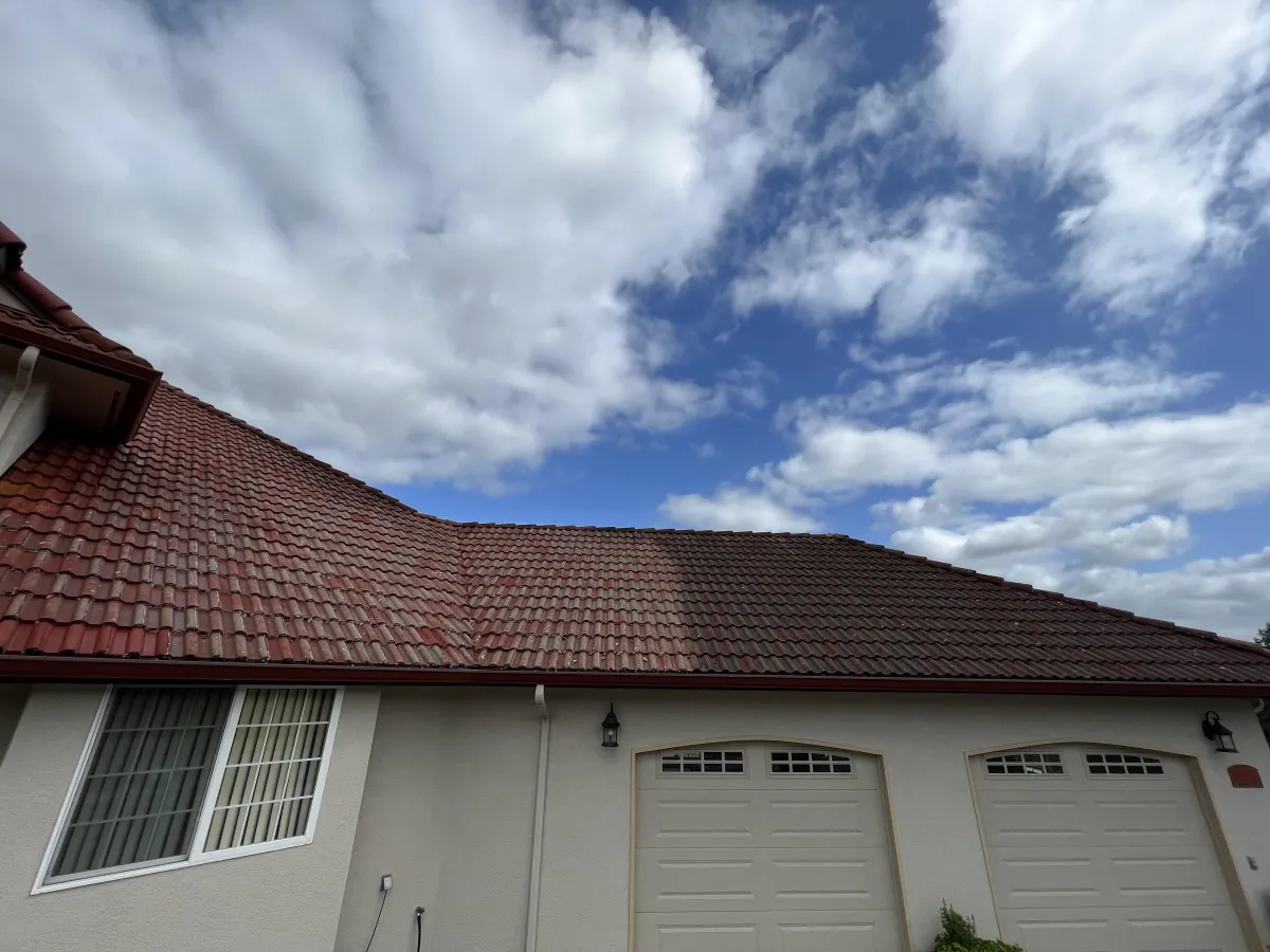 professional Olympia roof cleaning cedar shingles