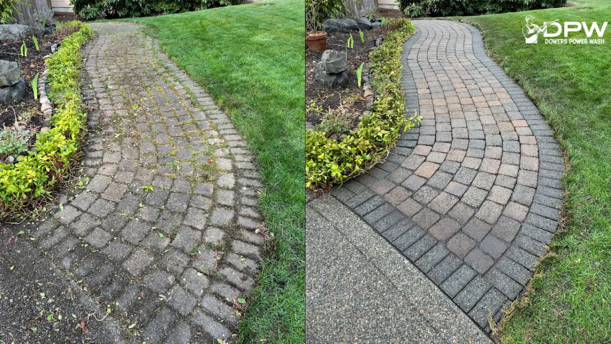 Olympia concrete cleaning patio driveway pavers