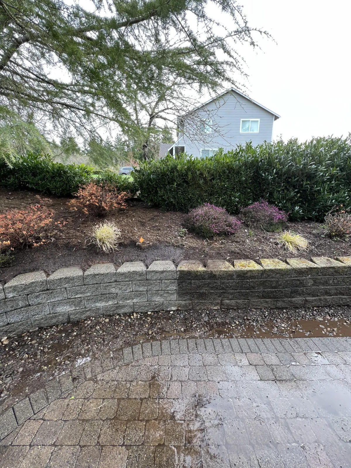 Olympia concrete cleaning retaining wall cleaning