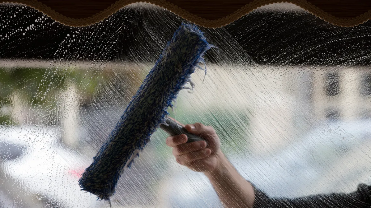Olympia Washington Professional Gutter Cleaning Pressure Washing