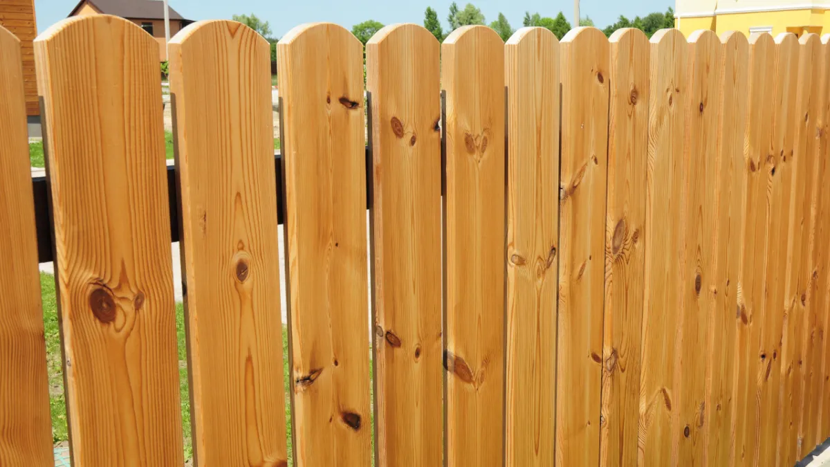 Olympia Washington Professional Fence Cleaning Pressure Washing