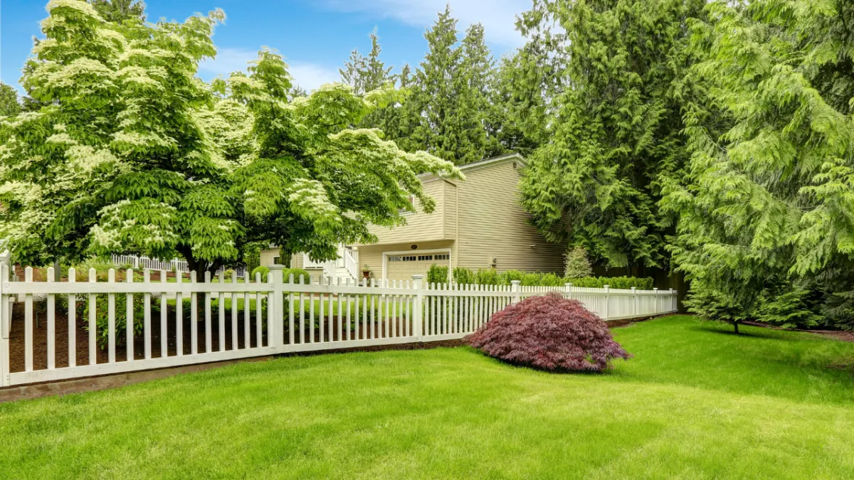 Olympia Washington Professional Fence Cleaning Pressure Washing