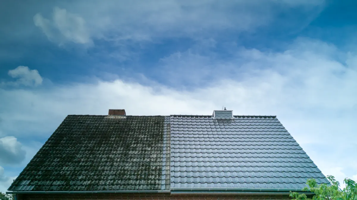 professional roof cleaning services Tumwate Washington
