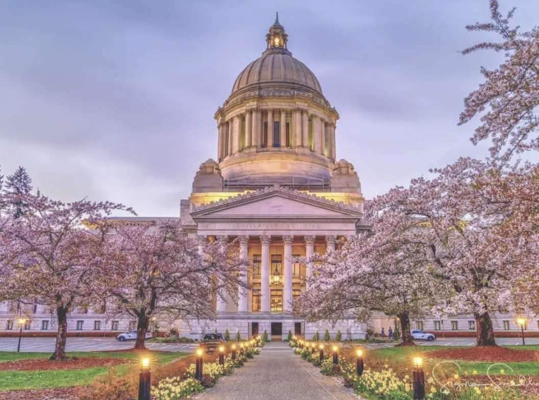 The Washington State Capital Building in Olympia Washington Dowers Power Wash