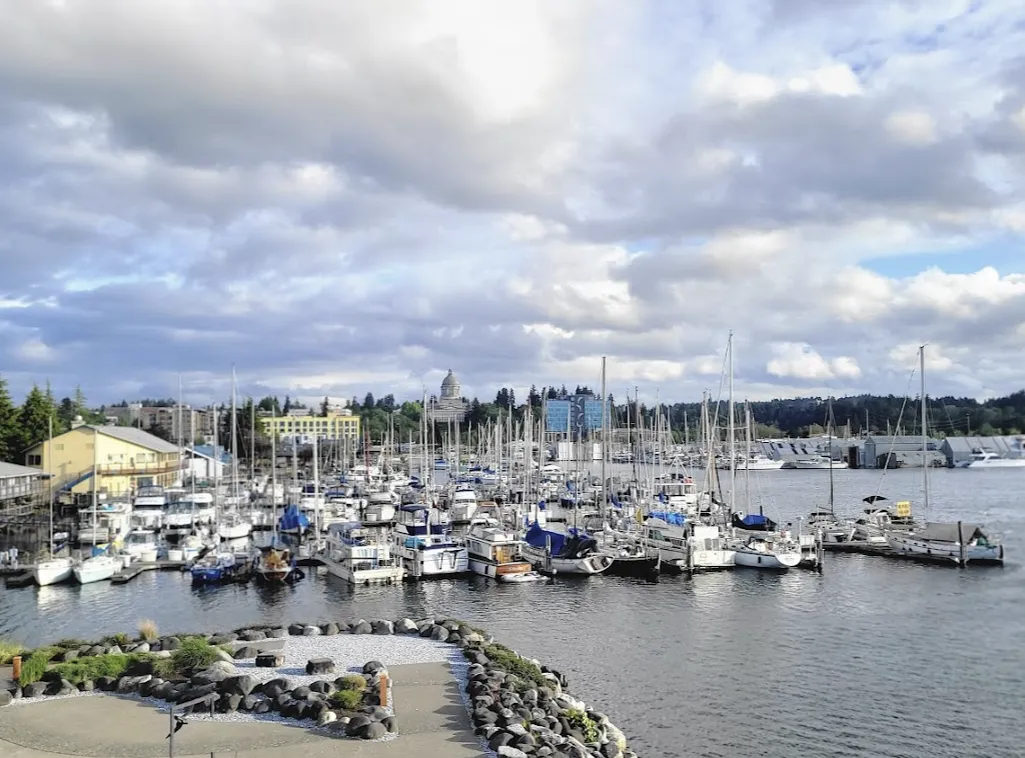 Percival Landing Park in Olympia Washington Dowers Power Wash