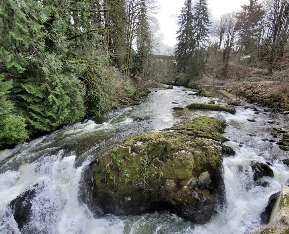 Brewery Park at Tumwater Falls Olympia Washington Professional Pressure Washing Services Dowers