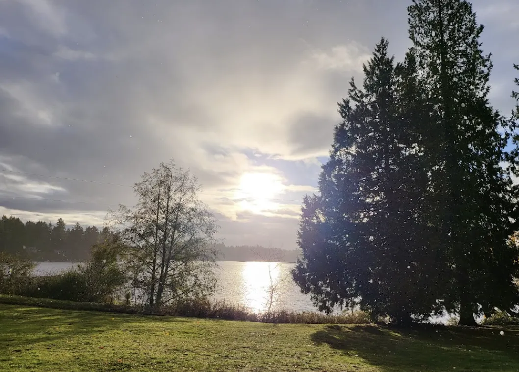 Wanschers Park Lacey Washington