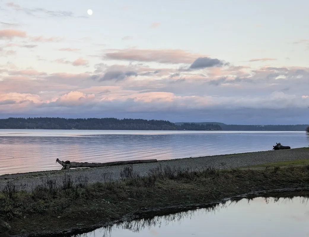 Tomie State Park Lacey Washington