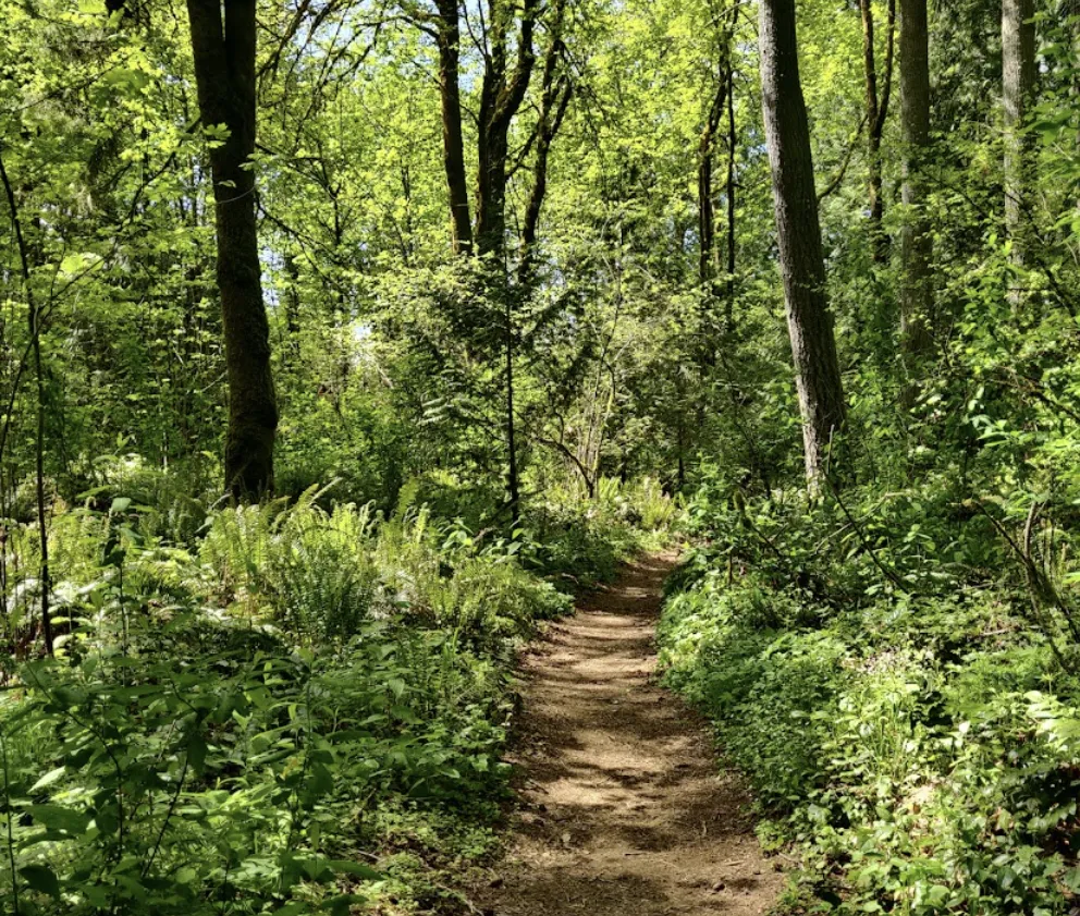 Wonderwood Park Lacey Washington