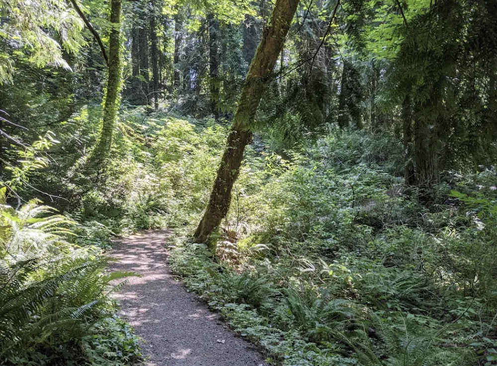 WatershedPark East Olympia Washington
