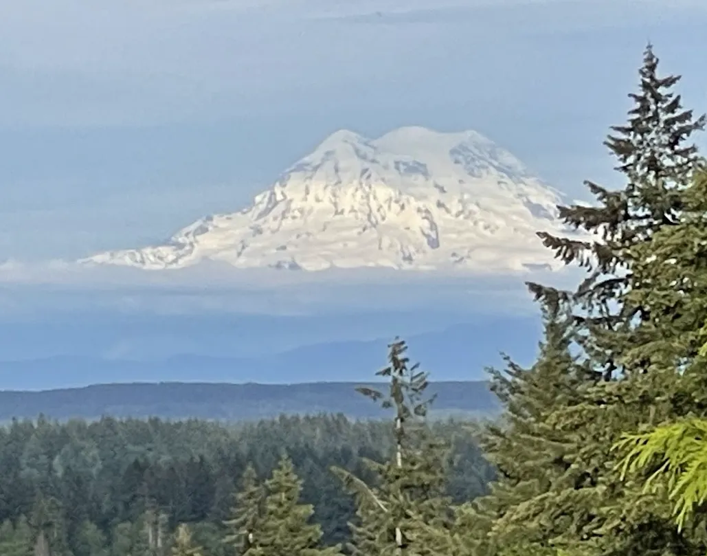 Olympia Washington Professional Pressure Washing Services