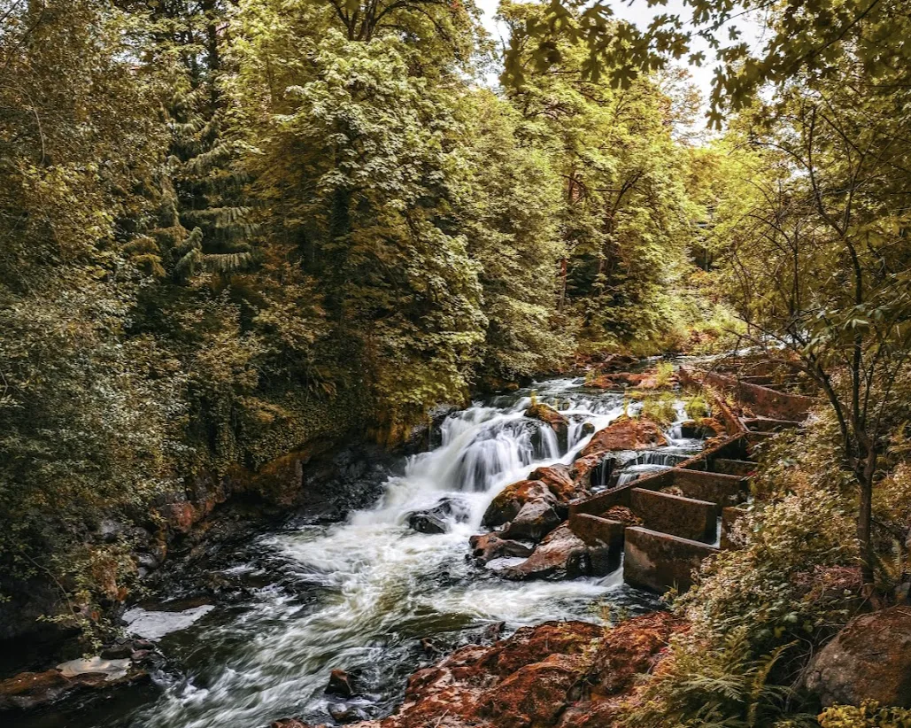 Tumwater Falls Washington