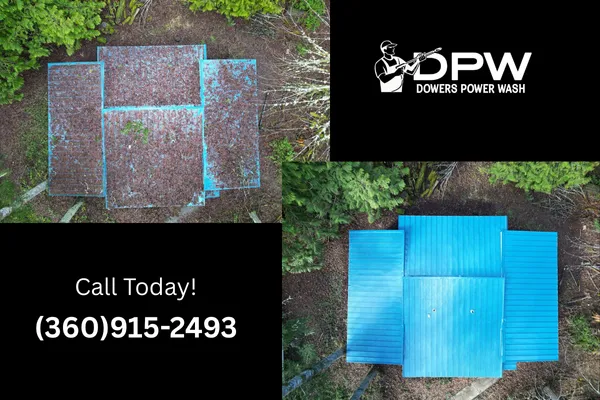 professional roof cleaning services Tumwater Washington