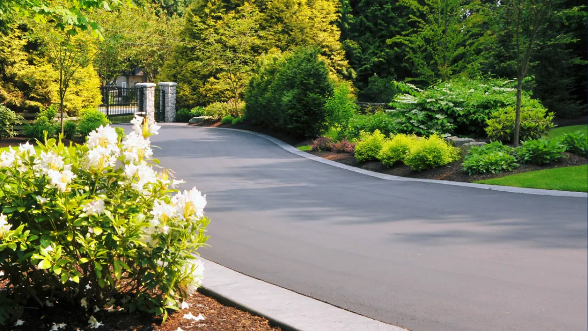 Olympia concrete cleaning patio driveway pavers