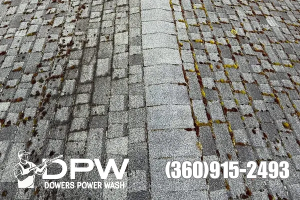 professional roof cleaning services Lacey Washington